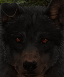 dfz1knn 76e0dda7 b696 4eea 90a3 10c56aeb6897 (2).png