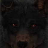 dfz1knn 76e0dda7 b696 4eea 90a3 10c56aeb6897 (2)