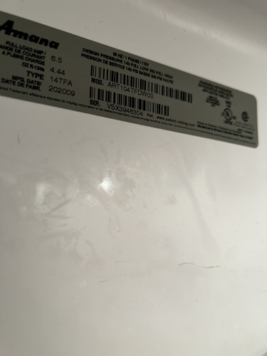 IMG 2387.jpg
