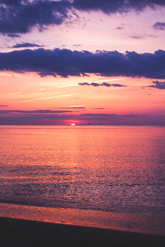 Commercial Photo (1315).jpg