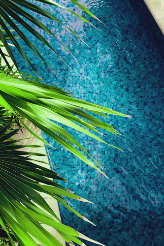Commercial Photo (1456).jpg