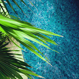 Commercial Photo (1456)