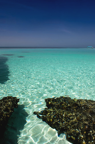 Commercial Photo (1462).jpg