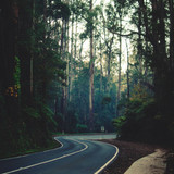 Commercial Photo (1330)
