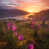 Commercial Photo (1383)