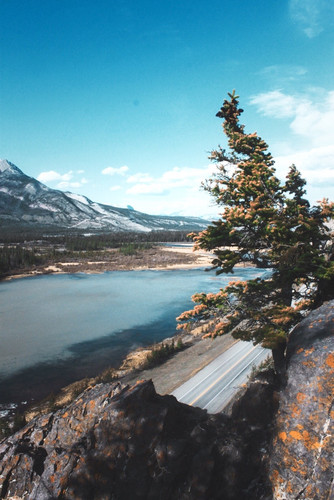 Commercial Photo (1408).jpg