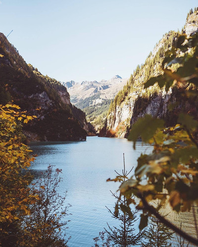 Commercial Photo (1507).jpg