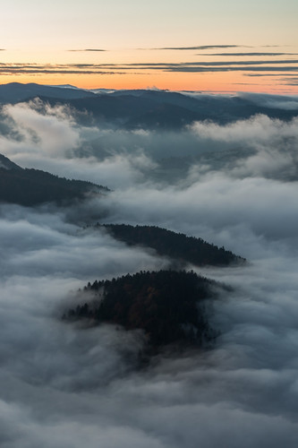 Commercial Photo (1480).jpg
