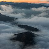 Commercial Photo (1480)