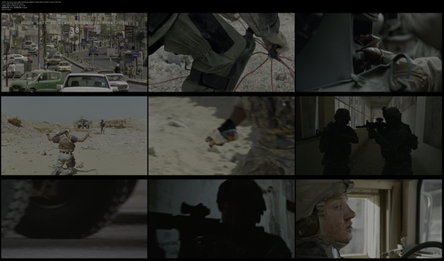 The.Hurt.Locker.2008.UHD.BluRay.REMUX.2160p.HEVC.TrueHD7.1.Atmos HDS.mkv.png