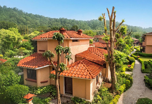 Luxury Resort in Jim Corbett | The Riverview Retreat in Jim Corbett.jpg