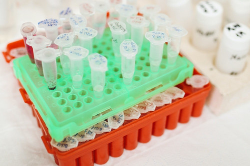 laboratory services.jpg