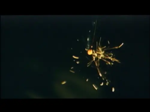 vlcsnap 2023 06 05 11h39m56s412.webp