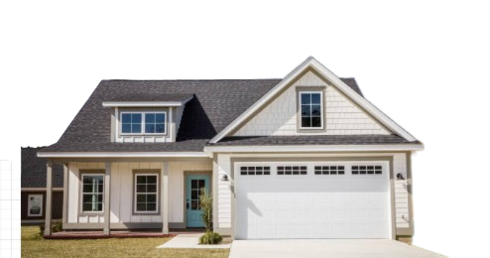 image removebg preview (12) (1).png