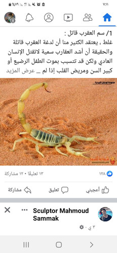 Screenshot ٢٠٢٣٠٢١٦ ١٩١١١٧ Facebook.jpg