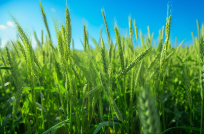 image 1685973753972.png