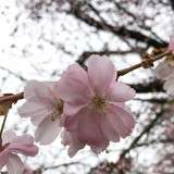 Commercial Photo (1577)