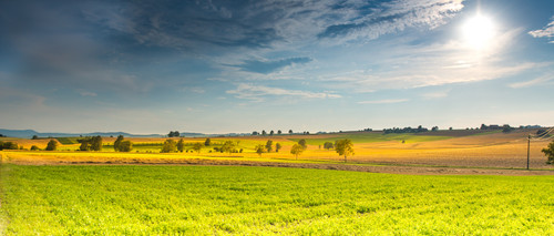 Commercial Photo (1642).jpg