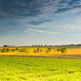 Commercial Photo (1642)