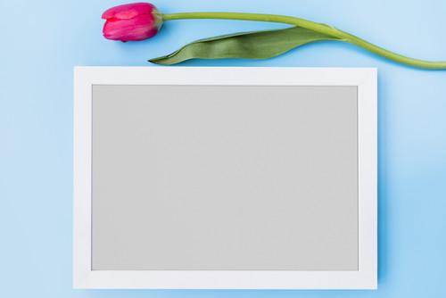 Commercial Photo (1640).jpg