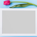 Commercial Photo (1640)