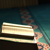 Commercial Photo (1652)