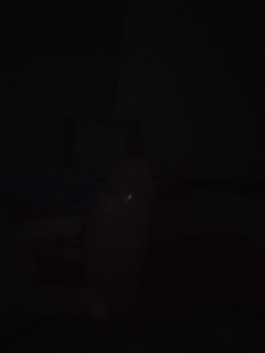 IMG 20230611 044632340.jpg