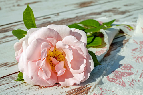 Commercial Photo (1708).jpg