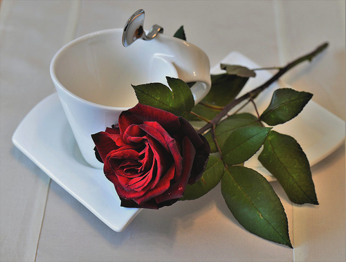 Commercial Photo (1711).jpg