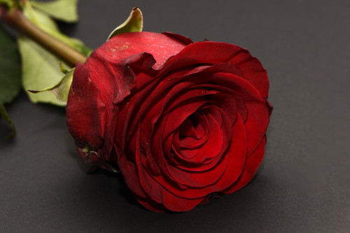 Commercial Photo (1705).jpg