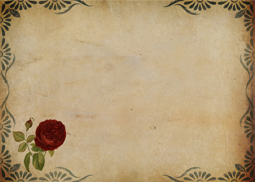Commercial Photo (1712).jpg