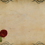 Commercial Photo (1712)