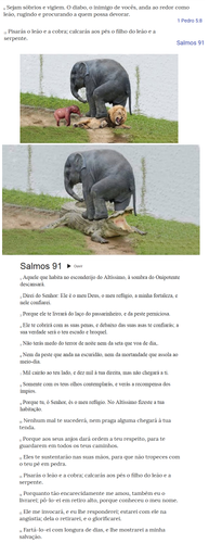 elefante.png