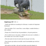 elefante