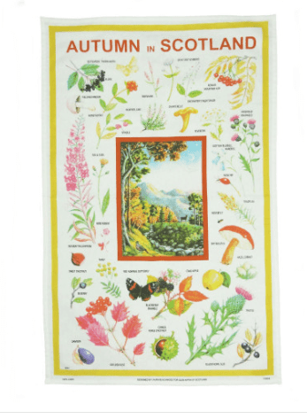 100 cotton tea towel autumn tt0968 6083 p.png