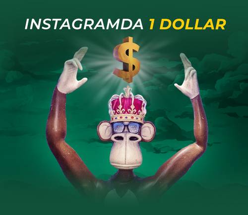 1200x1040 (49).png