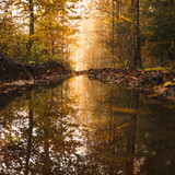 Commercial Photo (1114)