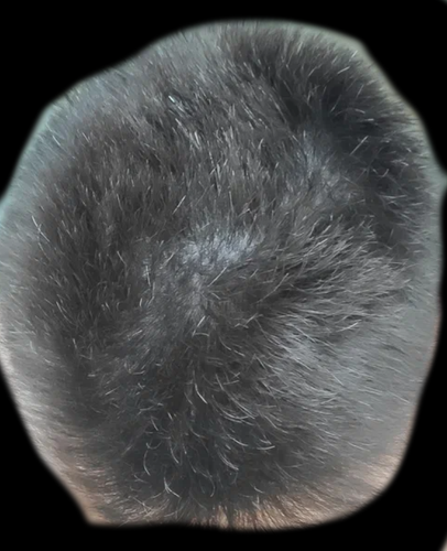 2023 06 10 02 25 18.png