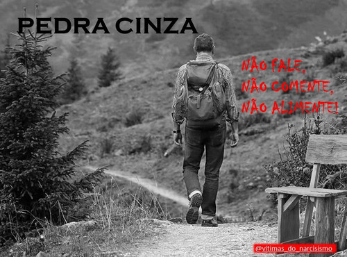 Pedra Cinza um dia a gente aprende a dar um passo só de cada vez, mas sem duvidar.jpg