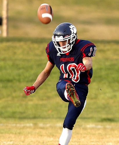 pexels pixabay 159710.jpg