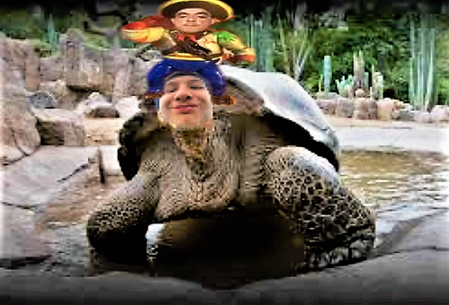 HaG.png