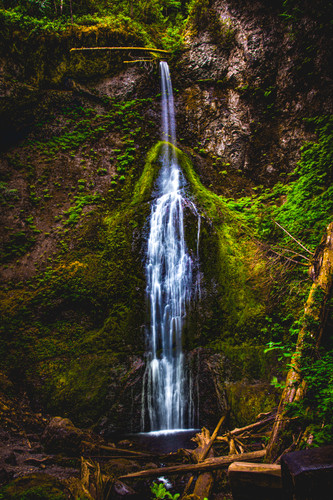 Commercial Photo (1039).jpg