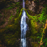 Commercial Photo (1039)
