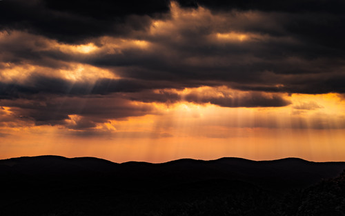 Commercial Photo (1055).jpg