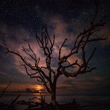 Commercial Photo (1070)