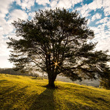 Commercial Photo (1075)