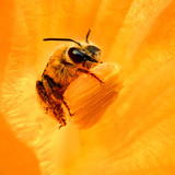 Commercial Photo (1083)