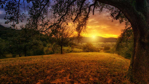 Commercial Photo (1104).jpg
