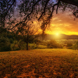 Commercial Photo (1104)