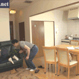 dandy 677.gif